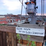 Kulturdachgarten Klunkerkranich