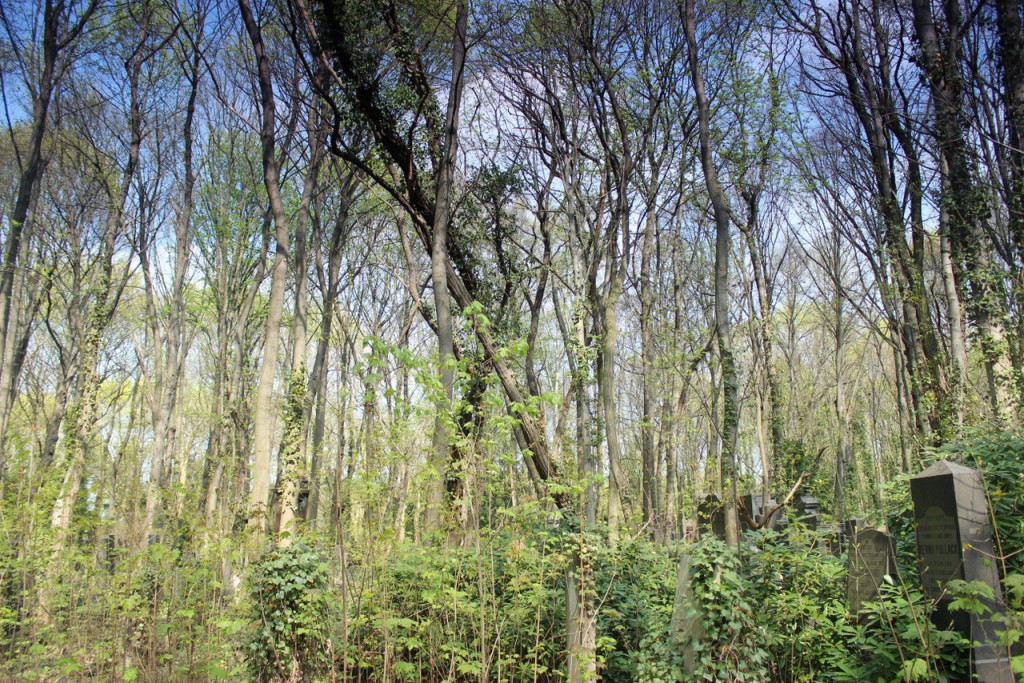 Jüdischer Friedhof Berlin Weißensee