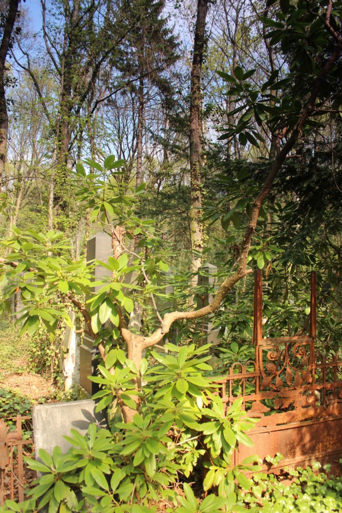 Jüdischer Friedhof Berlin Weißensee