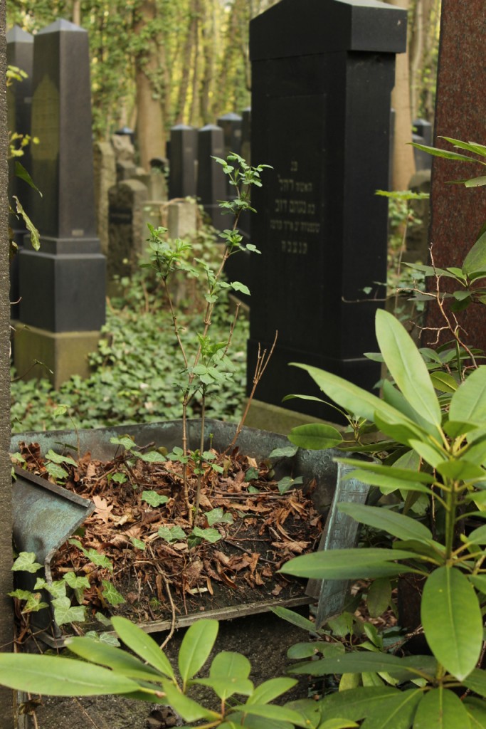 Jüdischer Friedhof Berlin Weißensee