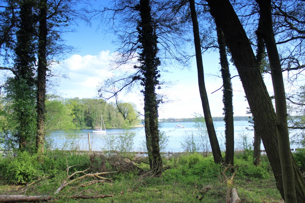 tegeler-see-3-ufer