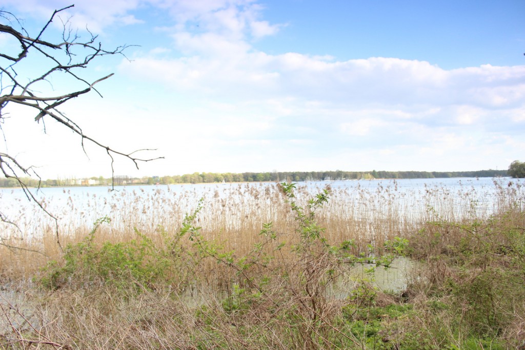 tegeler-see-6-ufer