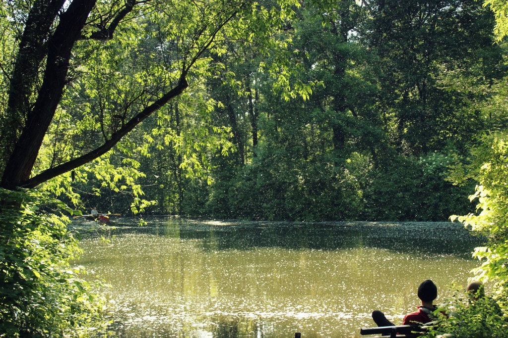 tiergarten-biergarten-schleusenkrug-neuer-see-2