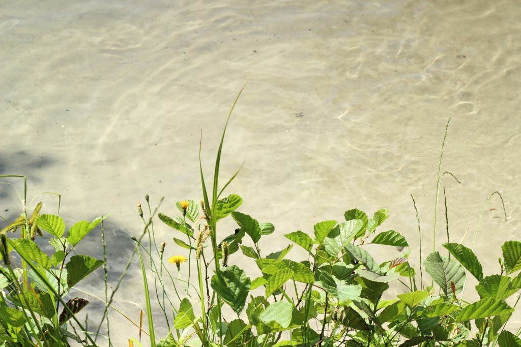 sacrower-see-klarer-see-wasser-1